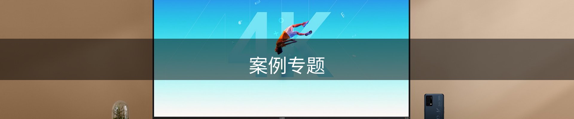 案例专题
